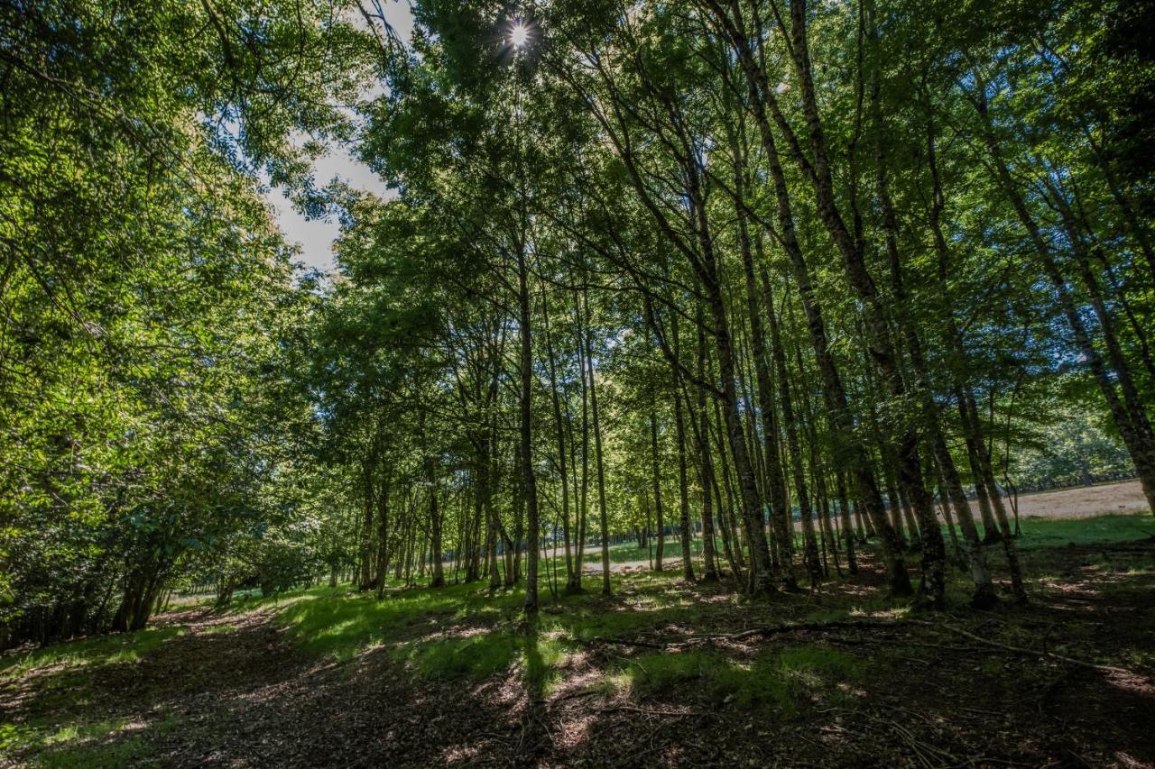 Domaine De Malouzies Hotell Fonties-Cabardès Eksteriør bilde