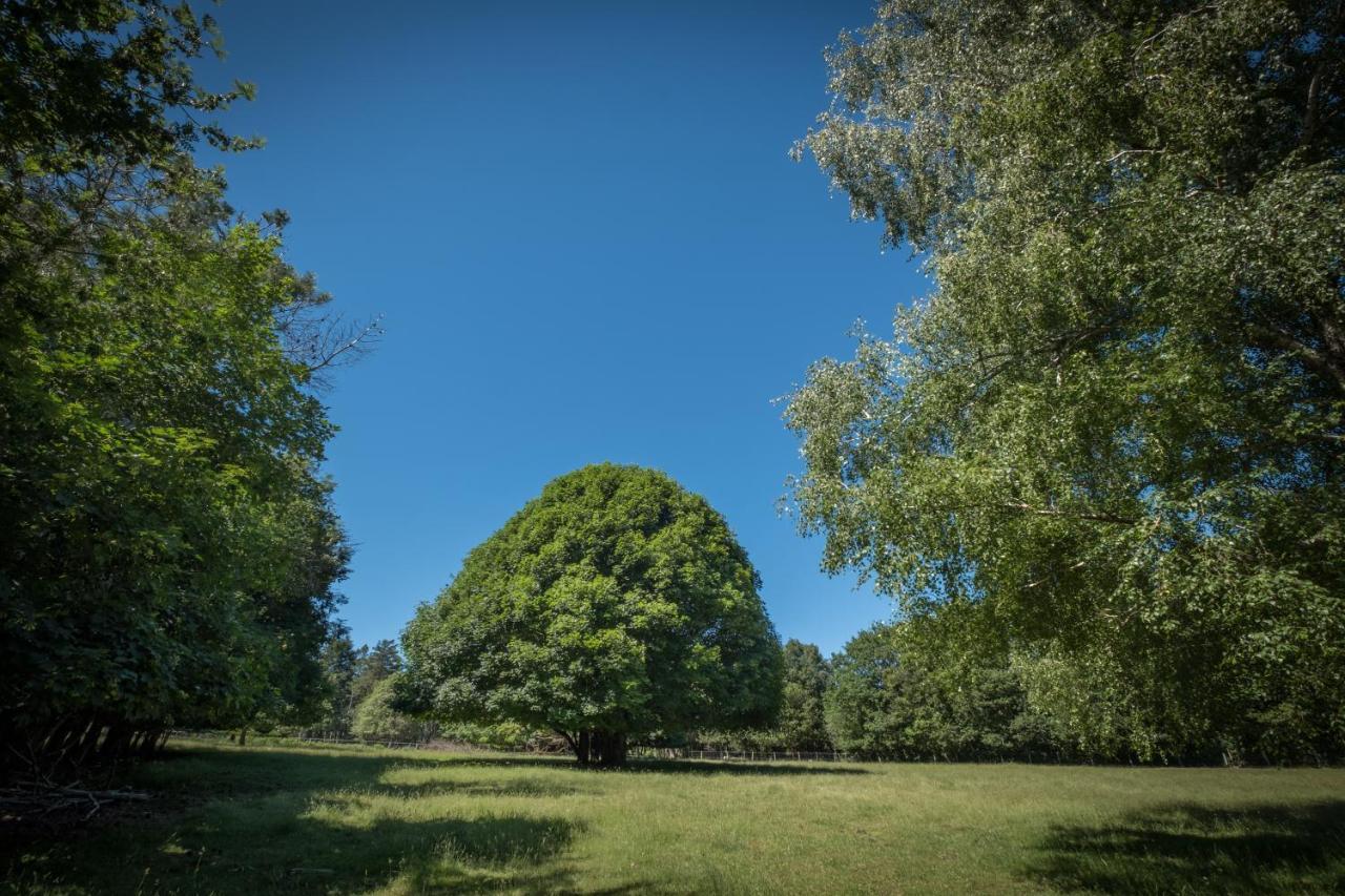 Domaine De Malouzies Hotell Fonties-Cabardès Eksteriør bilde